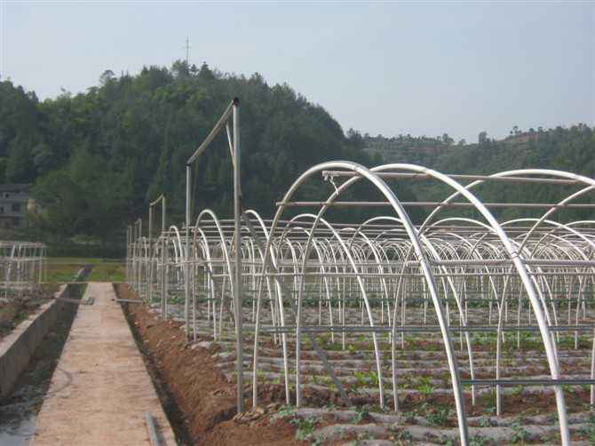 大棚骨架廠產(chǎn)量供應(yīng)明顯下降資源偏緊